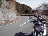 道路を背景に